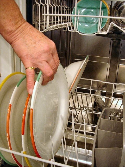 grant-dishwasher-335670_640