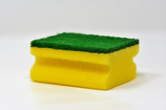 sponge-3081410_640