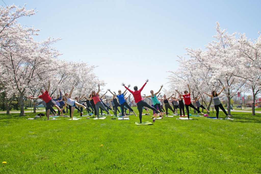 Cherry blossom yoga 2